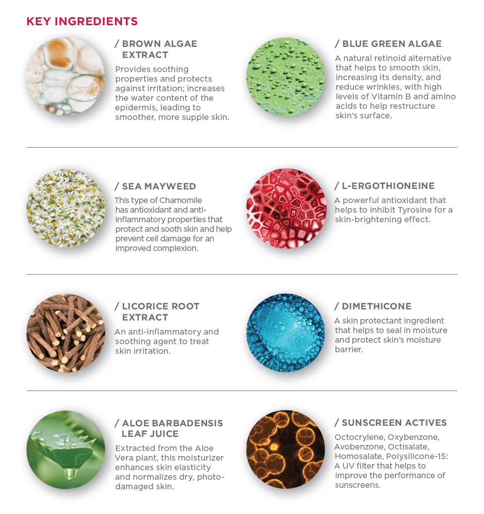 Ingredients list for TuroSkin Sport SPF 30 Lotion, featuring antioxidant-rich, non-greasy formula.