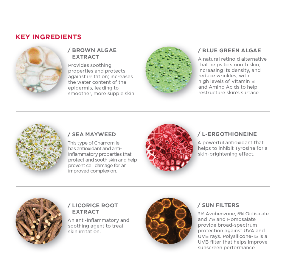 Ingredients list for TuroSkin™ Daily Defense Moisturizer with SPF 15 – lightweight, unisex formula for sun protection and hydration