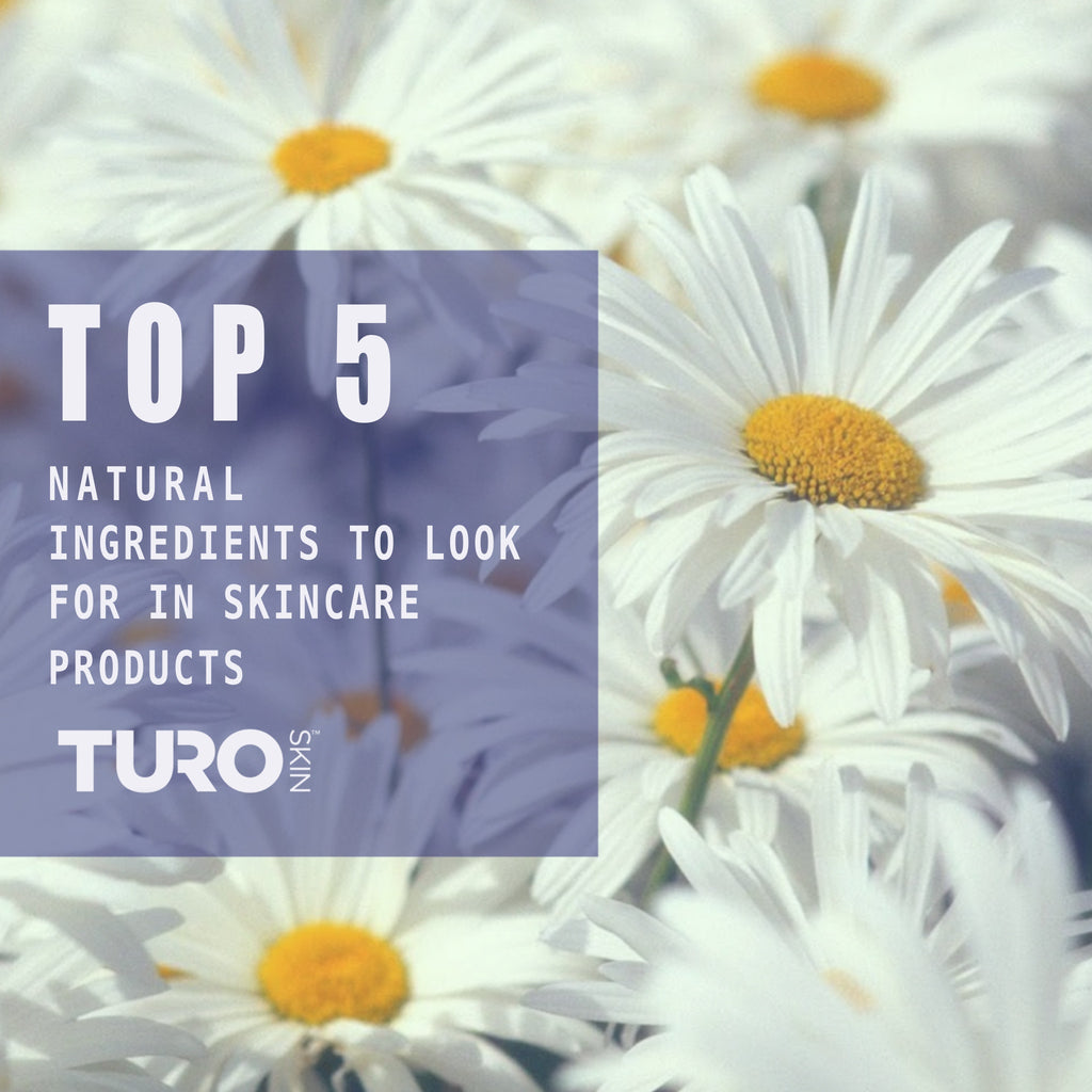 Top 5 Natural Ingredients to Look For In Skincare Products