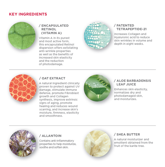 Ingredients list for TuroSkin™ Regenerating Night Cream – nourishing overnight formula with retinol and antioxidants for skin repair and hydration